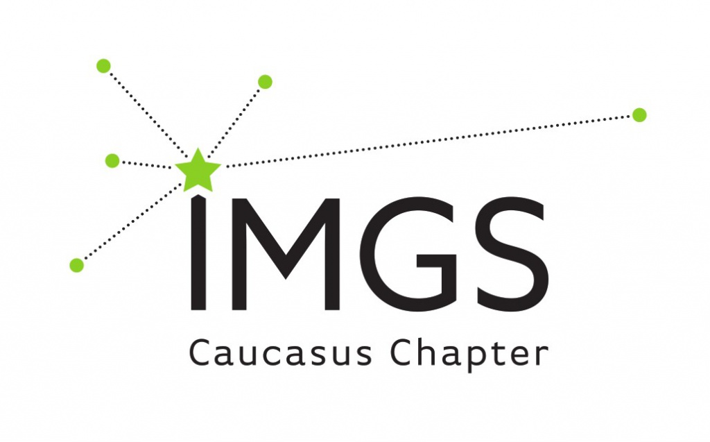 IMGS logo.jpg